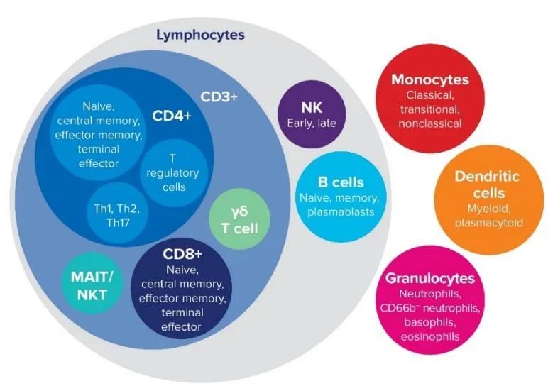 20200721707442.jpg 微信图片_20200721142302.jpg