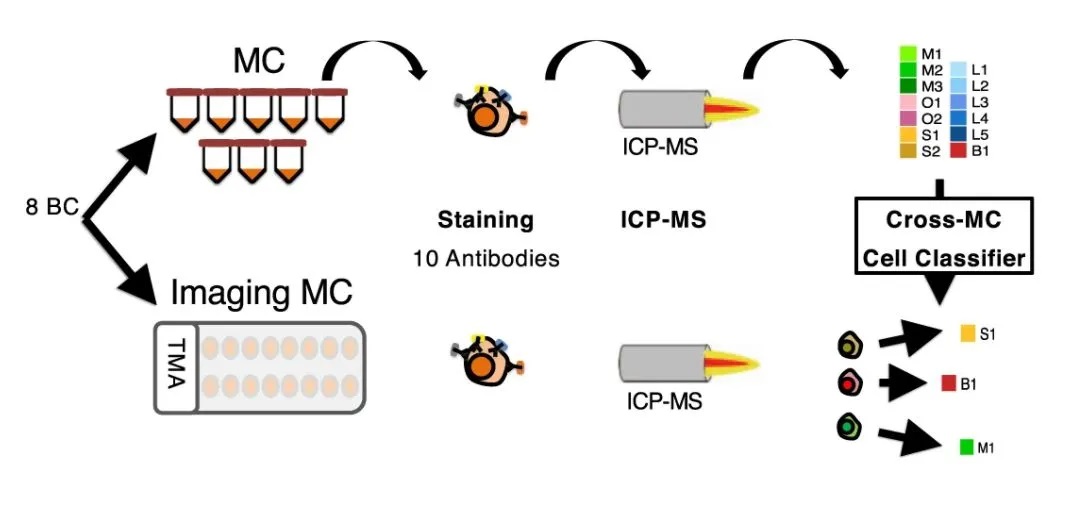 【Nature Communications】Fluidigm质谱流式及成像质谱流式技术助力癌症药物研发，为精准肿瘤学提供新思路 新闻动态